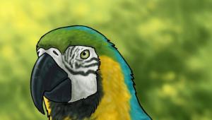 Теги: как нарисовать птицу Птицы поэтапно
