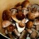 How to cook pickled boletus mushrooms for the winter - recipe in jars