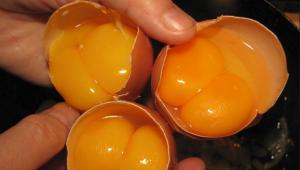 Яйца с двумя желтками — ждем близнецов?