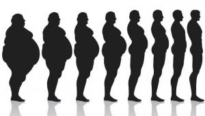 Основы правильного питания для похудения: меню, рекомендации диетолога и отзывы