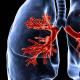 Effekten av tobakk på menneskekroppen: skade, fordel